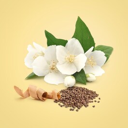 Beauty - Eau de Parfum