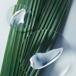 Botanical Repair Mask - Light