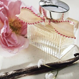 Chloé L'Eau de Parfum Lumineuse 