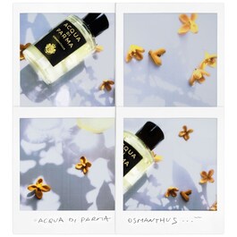 Signature Osmanthua - Eau De Parfum