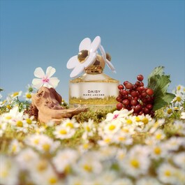 Daisy - Eau de Toilette