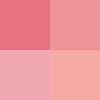 N°02 Taffetas Rosé (6 g)